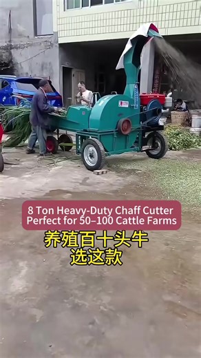 8 Ton Heavy-Duty Chaff Cutter | Perfect for 50–100 Cattle Farms Running a medium or large cattle farm? This 8-ton per hour chaff cutter is the perfect solution for farmers with 50–100 cows. Cut Napier grass, maize stalks, straw and forage quickly and evenly to improve feed efficiency. Heavy-duty steel body, strong blades and powerful motor ensure high output, durability and smooth operation. Save time, reduce labor and prepare feed faster for your livestock. Reliable machine for serious farmers.