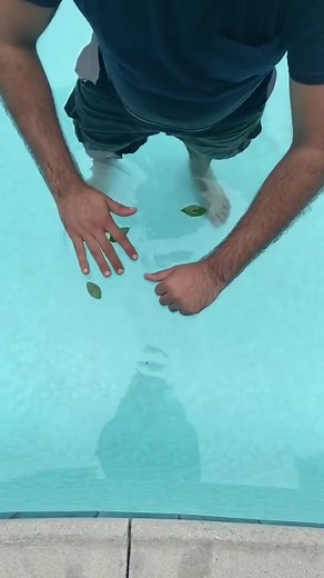 Magic in a pool! 💦 Shouts to the creative Gogo Cuerva for taking a classic of magic in a whole new direction #magic #allthingsmagic #facebookreels #reels #video #magician #magictrick #amazing | All Things Magic