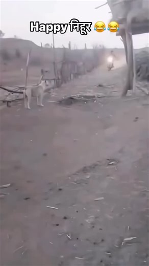 Gyanprakash Rajbhar on Instagram: "Thank you ❤ please Support kijiye🙏🙏🙏 Wait for editing❣️ #reelsinstagram #reel #reelkarofeelkaro #editing #editingvideo lighroomedit lightroom reelsindia reelssambalpuri viralreels pose poser photographer photography photoshoot reelsinstagram keepsupporting kiploving trending trend zishanmalikphotoworks anitiwari18 nsbpictures reelsindia reelssambalpuri reelkarofeelkaro reelsvideoswait trending trend Thank you ❤Thank you ❤ please spport k