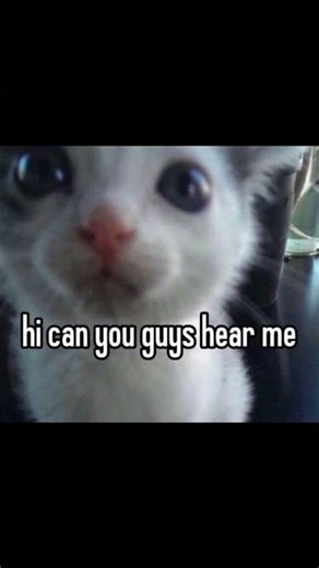 Hi can you guys hear me? 😭