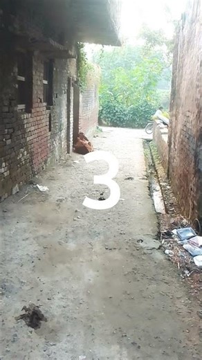 #heenaprajapati #viralshorts