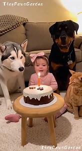 19M views · 548K reactions | Happy Birthday, Big Boy!”   100 %...