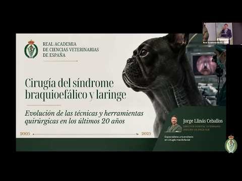 Jorge Llinás Ceballos: Cirugía del síndrome braquiocefálico y laringe - 11/05/2026