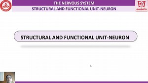 9.1 Structure of Neuron