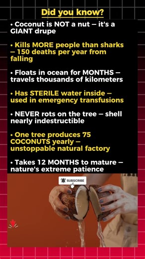 Coconut Truths You Would NEVER Imagine 🥥🔥