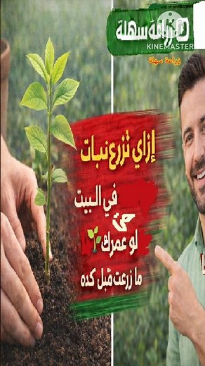 إزاي تزرع أي نبات في البيت 🌱 حتى لو عمرك ما زرعت قبل كده