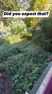 2.5M views · 17K reactions | You didn’t see that coming #oddlysatisfying #satisfy #satisfaction #asmr #beforeandafter #transformation #cleaning #cleaner #homedecor #homeimprovement #reelsfb #reelsviral #gardening #fyp | Nathans Lawns and Gardens | Facebook