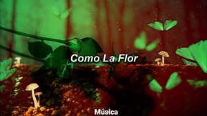 Selena: Como La Flor - (letra)...🌹🌺🥀 | Música