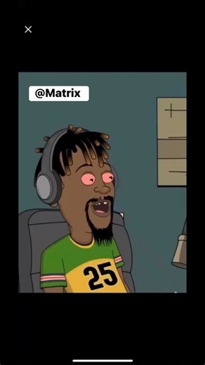 Matrix Private Investigations & Security Services Matrix Zw Apo munenge matigonera #Rehab #tintmasterszimbabwe #TintExperts #blot #matrix #rehabblot #nyanzvi #harare #360degrees | Tint Masters Zimbabwe Pvt Ltd