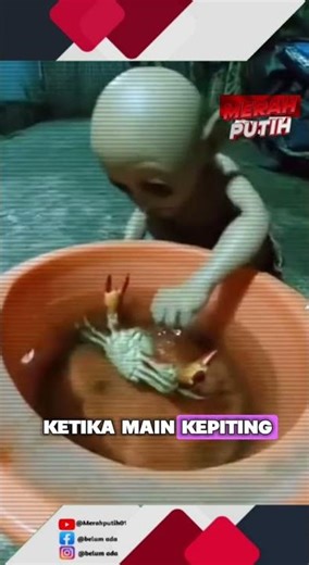 The tuyul was almost caught by the crab's claws 🤣