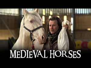 Everything You Need to Know About Medieval Horses