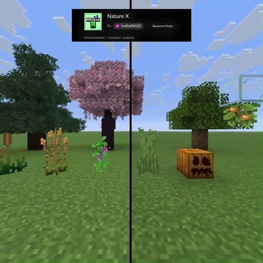 This Texture Pack Makes Minecraft Look Insane 🌿