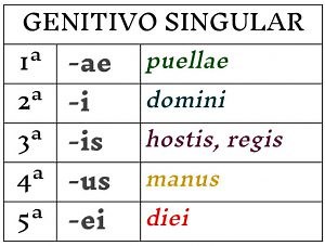 2.6. REPASO GENERAL DECLINACIONES - LATÍN ONLINE