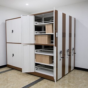 [Hot Item] Steel Metal Cabinet Cupboard Modern School Library Shelving