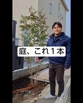 庭に1本あるだけで違う。常緑樹シマトネリコ施工。栃木の庭にも最適です。