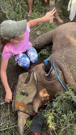 Rhino conservation is such a vital part in the survival of this incredible species! 🦏🌍