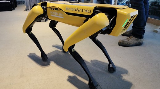 Meet Spot the robot dog