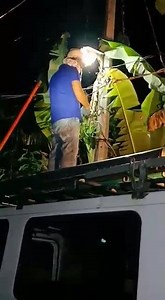 1.1K views · 21 reactions | Actual removal of GECKO in CENPELCO lines and restoration of power by Mangaldan Operation and Maintenance Team- night of October 16, 2020 in Brgy Centino Road, Salaan, Mangaldan Time of Shutdown 7:45pm Time Restored 8:01PM | Central Pangasinan Electric Cooperative | Facebook