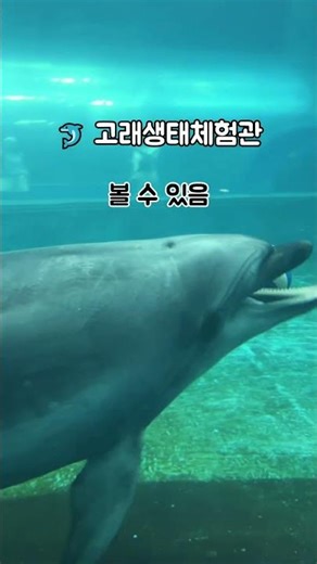울산 실내 가볼만한곳 BEST7 ㅣ 장생포고래마을ㅣ가족여행