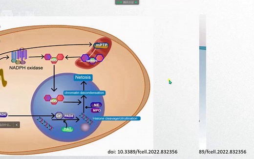 X-10-RevMan软件实操及在meta分析中的运用医学会员免费学