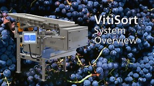 VitiSort Overview