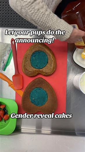 My Furry Godmothers - A Modern Pet Kitchen on Instagram: "Gender Reveal cakes for humans- revealed by pups! #genderreveal #pupcake #welovedogs #abqpets #petbakery"