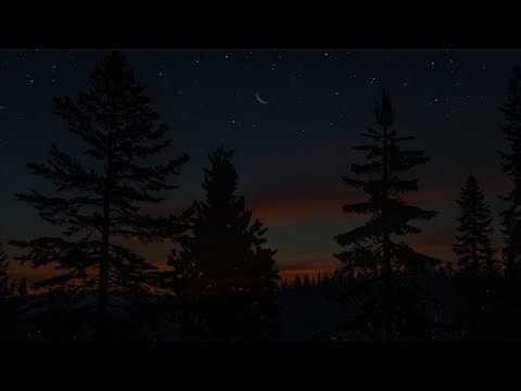 Twilight Forest Vibes with Chirping Crickets | ASMR Ambience for Sleep, Study & Tranquility