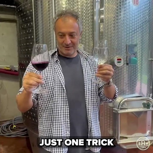 What Makes Saperavi the Darkest Georgian Wine?