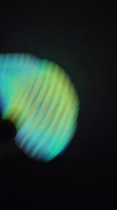 Flexy 3d printed starfish fidget - Etsy Italia