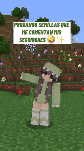 Semillas Aesthetic para Minecraft: Descubre Nuevas Opciones