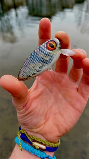 One of My First 3D Printed Topwater Crankbaits | How It Started #customfishinglures #handmadelure