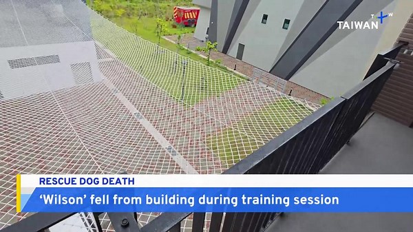 Rescue Dog 'Wilson' Died From Accidental Fall During Training