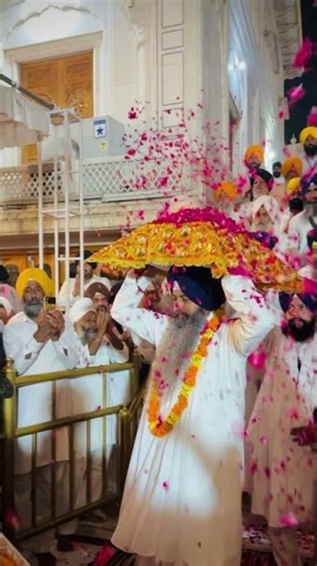 Palki Sahib Sewa at Golden Temple 🙏✨ #amritsar #shorts#gurbani#waheguru#waheguruji