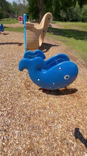 Walking up to a Blue Whale Spring Rider at a Park Playground