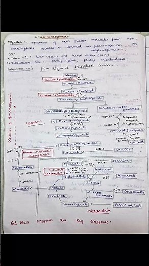gluconeogenesis (biochemistry)
