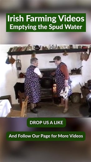 Emptying The Spud Water #potatoes #Ireland #fyp #for