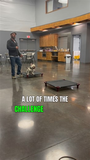 Make training Recall a breeze… Here’s a super helpful training approach that removes a lot of the challenges when training Recall. What are some of the common challenges? -Dog is glued to you and you can’t create enough distance to get away to train them to then come back. -The dog comes back but is super messy in their orientation — or the dog is nervous/fearful and actively wants to avoid you. -You think you need a ton of space to train the initial Recall. -The entire Recall training process i