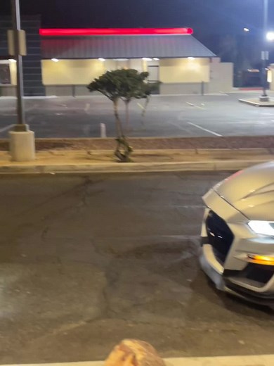 Mustang 5.0 cammed 😮‍💨#cammed #mustangcam #viral #viralvideo #fyp #jk