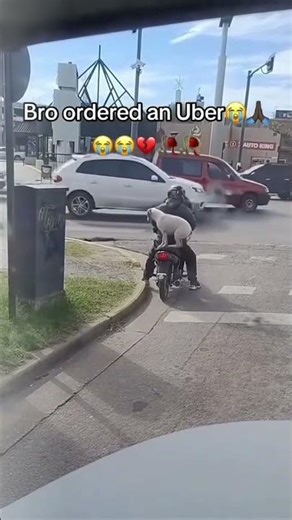 what the dog doing #funny #memes #meme #whatthedogdoing