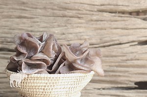 How To Tell If Wood Ear Mushrooms Are Bad? — Forest Wildlife