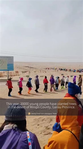 This year, 20000 young people went to the Gansu desert to experience tree planting.There are too many people, all the local hotels are fully booked.😆😆If I go to Gansu this year, I will also go here.