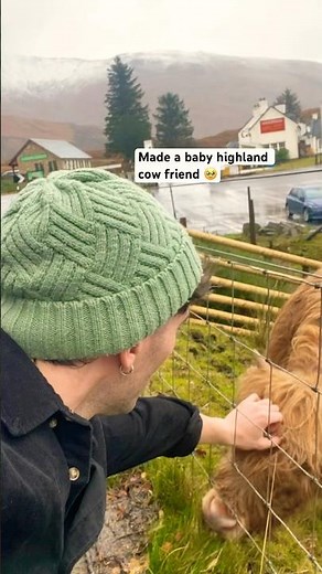 You haven’t known peace until you’ve stroked a Highland calf 😌 #scotland