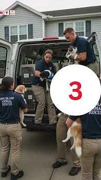 Breaking News in New York City | Latest Update | 04 October 2025