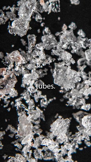 6 Macro Extension Tubes for Extreme Macro Photography Experiment