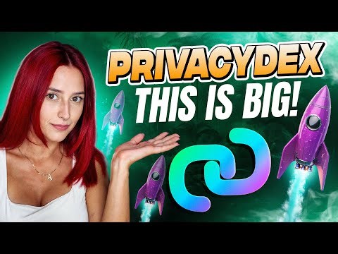 What Is PrivacyDex? Overview of the Privacy-Native Execution Layer