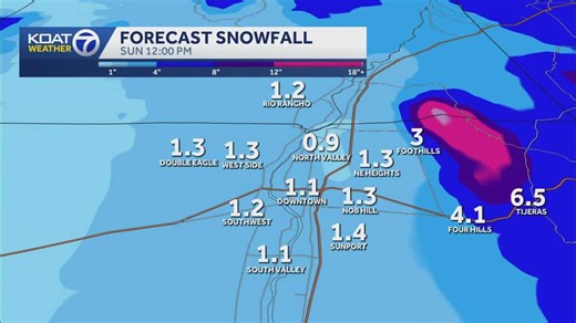 How much will it snow in Albuquerque?