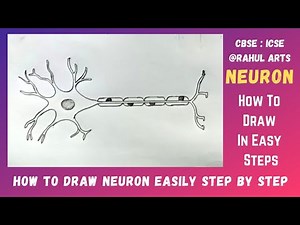 How to draw Neuron unit of nervous tissue @RAHULArts_Biology