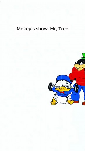 Exploring Asteroids: Animation and Insights