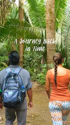 A journey back in time 🗿 Just steps from the lodge, ancient Maya plazas and structures over 1,200 years old emerge from the jungle—remnants of a once-thriving Maya community. Join our on-site Archaeological Walk, guided by an expert naturalist, to explore where elite residences, plazas, and causeways once stood. Along the way, uncover stories of the Classic Maya civilization and experience the powerful connection between history and nature that defines Chan Chich. 🌿🥾 #chanchichlodge #belizehi