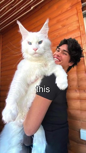 R.I.P 💔 | Stokes Twins